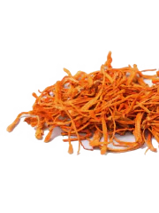 Cordyceps mushroom